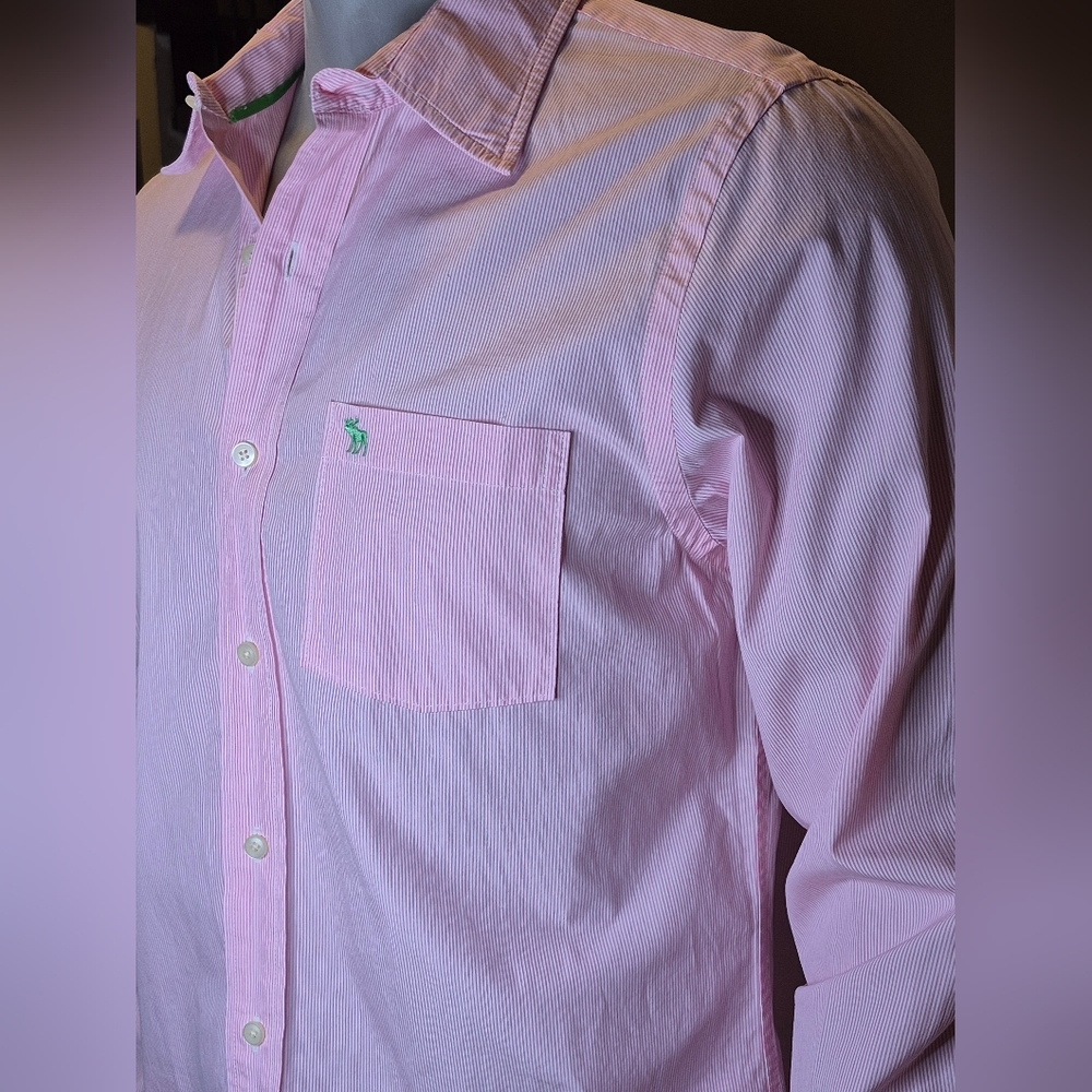 Abercrombie & Fitch Pink Dress Button Down Shirt